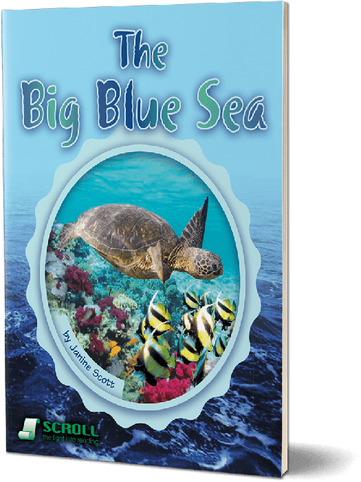 The Big Blue Sea