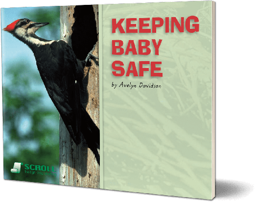 Keeping Baby Safe
