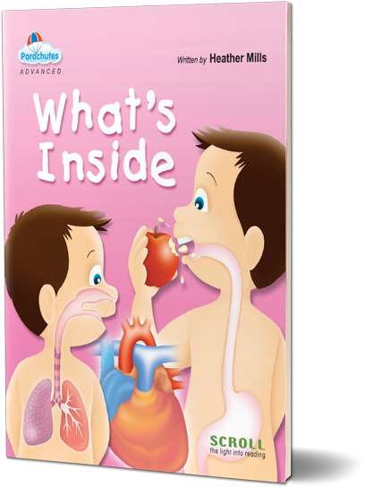 What's Inside (English)